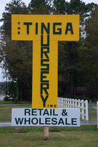 Tinga Nursery Wholesale Only